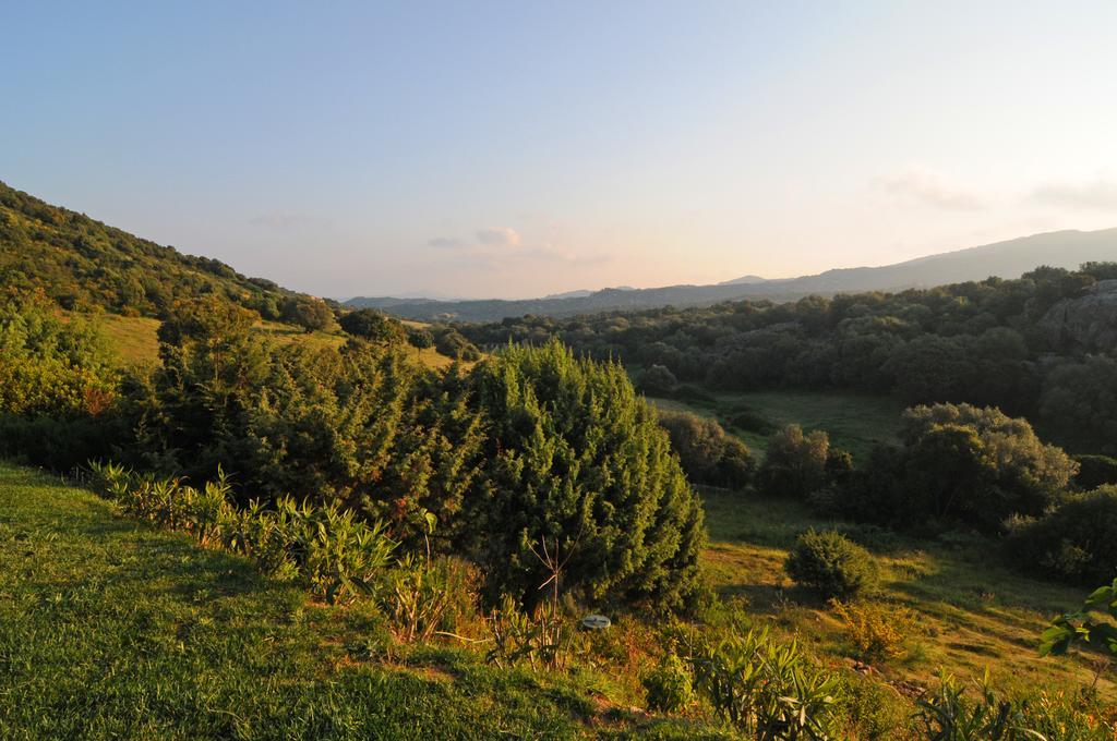 B&B La Murichessa Arzachena Extérieur photo